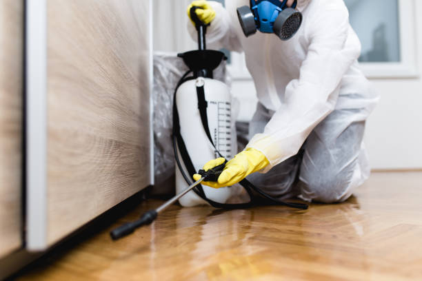 Best Local Pest Control Services  in Clermont, GA
