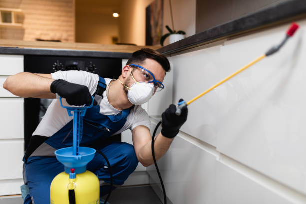 Best Affordable Pest Control Services  in Clermont, GA