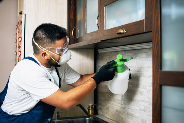 Best Pest Removal Services  in Clermont, GA