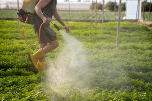 Best Pest Control Near Me  in Clermont, GA