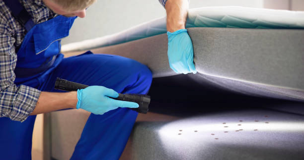 Best Cockroach Control Services  in Clermont, GA