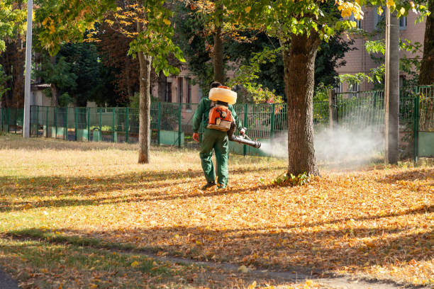 Best Affordable Pest Control Services  in Clermont, GA