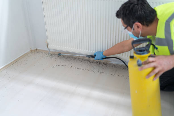 Best Affordable Exterminators  in Clermont, GA