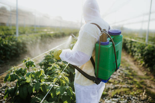 Best Exterminator Services  in Clermont, GA